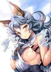 ふぇりちゃん