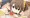 最近のSkebまとめ