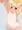 壁ドン