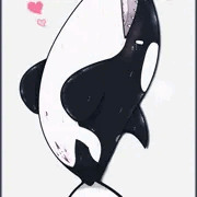 シャチ