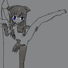 うちの子I字バランス挑戦