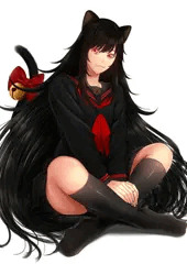 黒猫