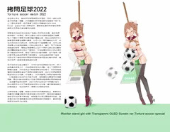 Tortiure Soccer 2022