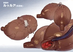 超乳