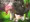 『獣姦獄舎の達磨少女２』より