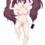 抱き枕風あんこ