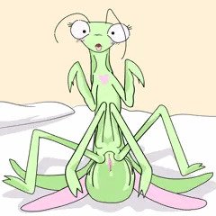 女性カマキリ