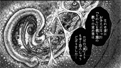 【閲覧注意】深夜なので渾身の断面図見て【グロ画像】