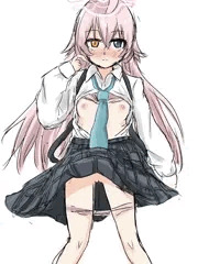 小鳥遊ホシノ