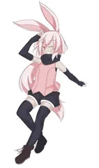 兎盗賊