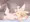 ラブラブセックスセイアちゃん