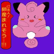 ご主人！卵産まれそう・・・！！！