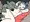 勇者ちゃんVSゴブリン７敗目