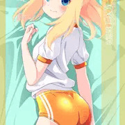 抱き枕カバー「黄金金糸雀(オリジナル)」241003