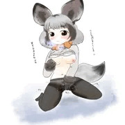 オオミミギツネちゃんの