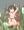 種か卵か