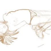 ラフ