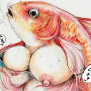 育ちすぎて金魚鉢に入らなくなった金魚