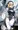 メイア教団シスター聖徒隊（戦闘勝利）