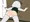 ようむちゃん２