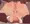 いつもの