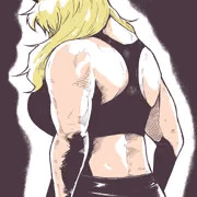妖精騎士ガウェイン
