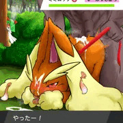 えろうさぎ捕獲