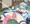 子宮脱アクア