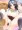 くぱあ