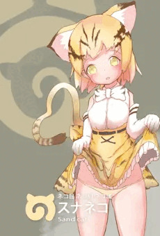 スナネコ