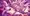 Skeb_桜国ガ〇スト_サクラ