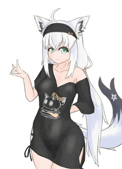 不健全差分