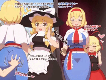 【skebリクエスト】ふたなり魔理沙がメディアリに一服盛られる話