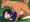 犬と