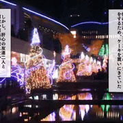 無限射精拷問③