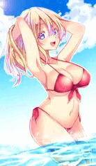 ビキニのお姉さん