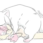筋肉質QBに犯されまどか