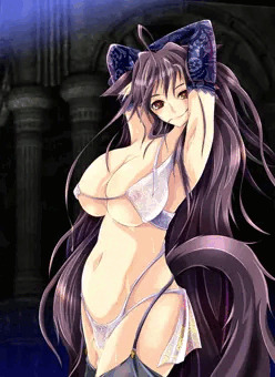 お姉さんネコ