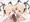 モモミドフェラ