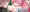 【敗北アニメ】アルラウネ　花コキ