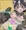 ハクビシン