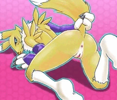 Digimon_Renamon