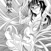 試触本
