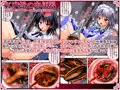 紅魔館の肉便器　サンプル2