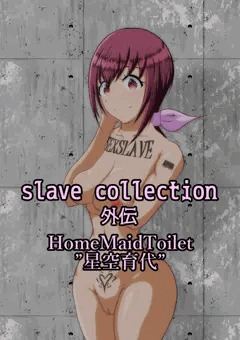 slave collection外伝”星空育代”