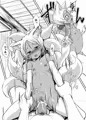 夏コミ新刊「双狐の帳」