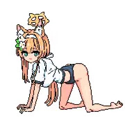 マリードット
