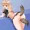 かんむす