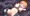 【うごイラ】フォックスハウンドちゃん触手姦