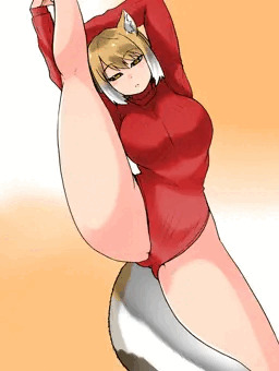 レイノヒートテックギツネ